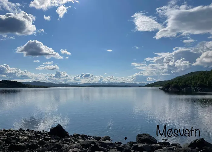 Hjemmekoselig Hytte Pa Rauland