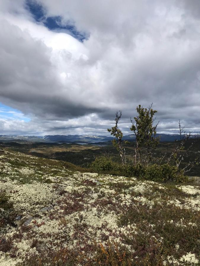 Hjemmekoselig Pa Semesterbostad